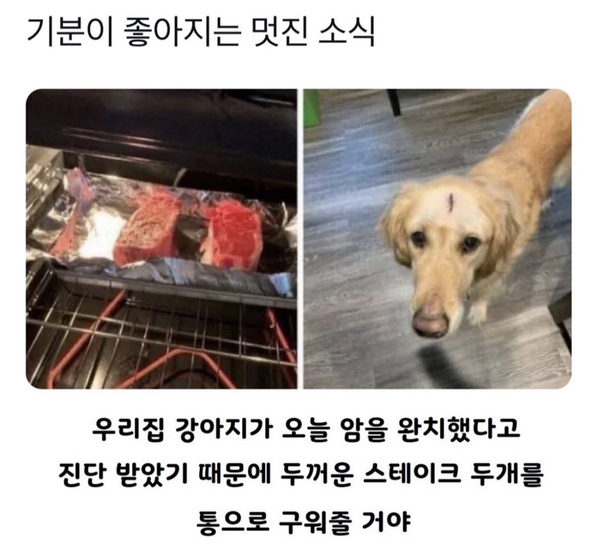 akzkfltm2's tweet photo. 멋진
소식 https://t.co/a9BHGoabnR