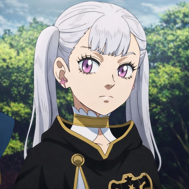 Kage_tsuk1's tweet photo. These has to be the top 4 waifus in #blackclover https://t.co/IUGxA1qXee