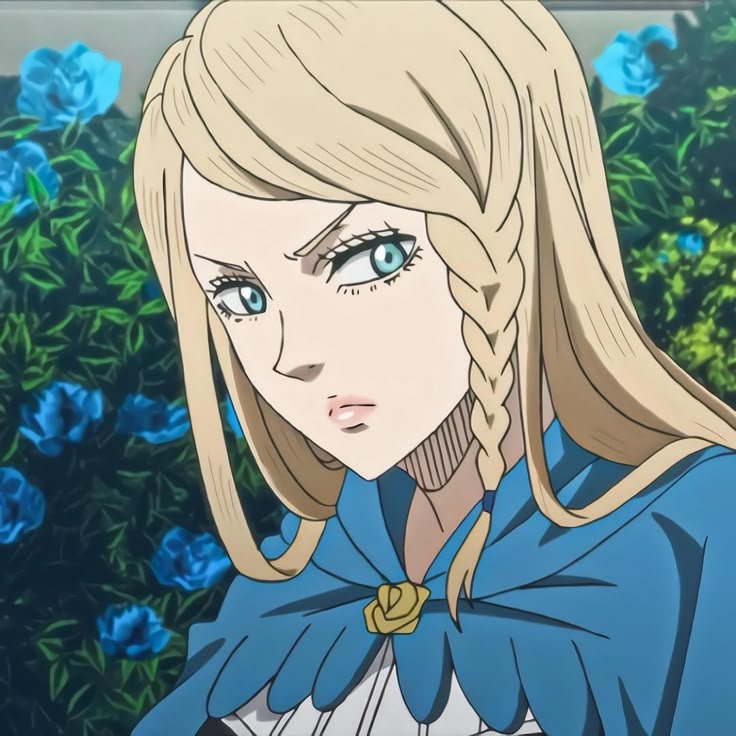 Kage_tsuk1's tweet photo. These has to be the top 4 waifus in #blackclover https://t.co/IUGxA1qXee