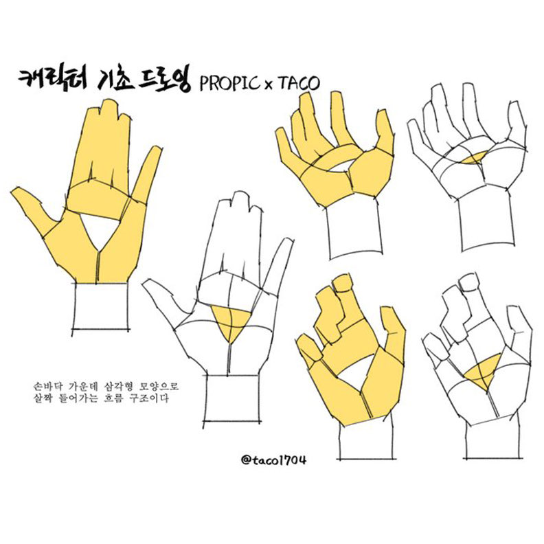 EtheringtonBros's tweet photo. Our feature tutorial/artist today is this page on the FORMS of the PALM, by the talented @taco1704! Note how the MAIN PADS of the palm create a FLAT, TRIANGULAR CENTRE. Understanding this formation helps especially with FORESHORTENING, and OVERLAP at shallow angles! #manga #anime https://t.co/eM6C7mTnKn