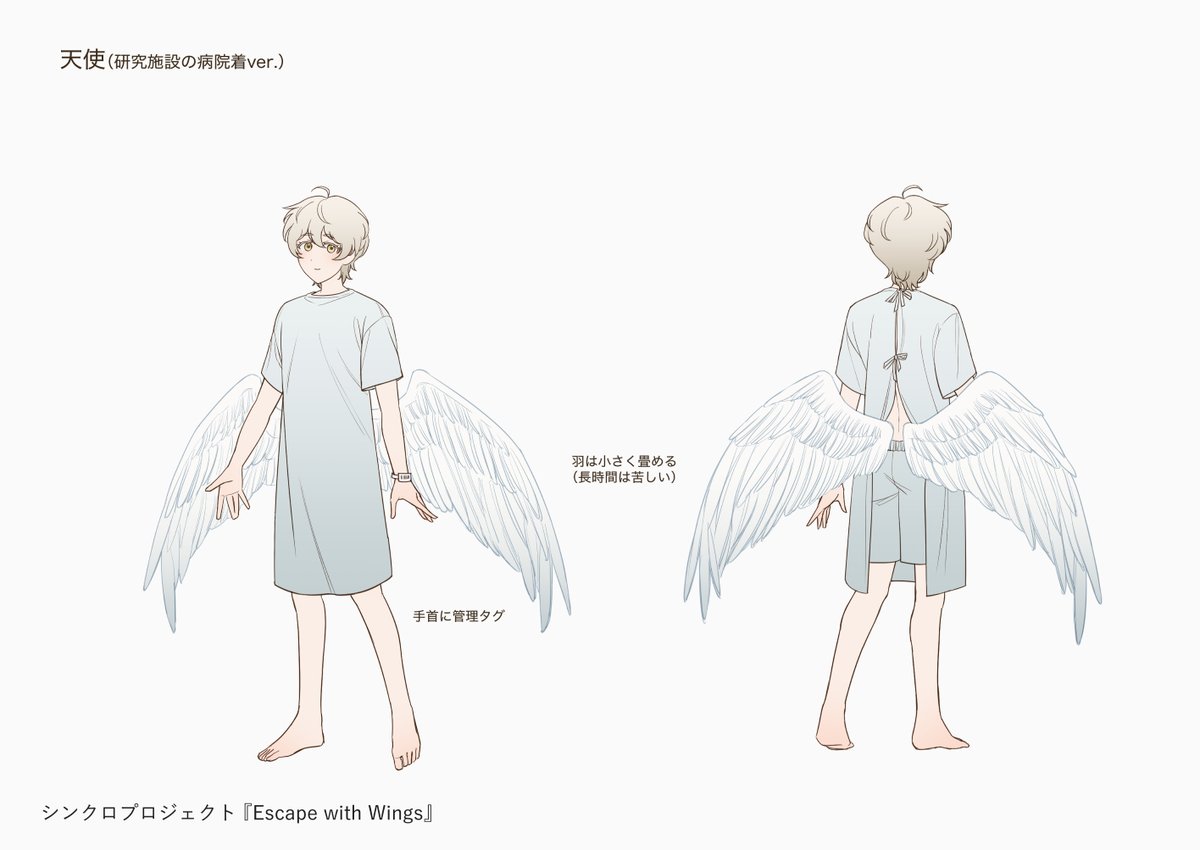 KaworuNakano's tweet photo. こちらのプロジェクト作品に原案、キャラクターデザインで参加しました

『Escape with Wings』
東京から、北へ。天使とお姉さんの逃避行ロードムービー🚙

ぜひ映像をご覧ください⇩

#シンクロプロジェクト #EscapeWithWings https://t.co/EPvHwLDzJN