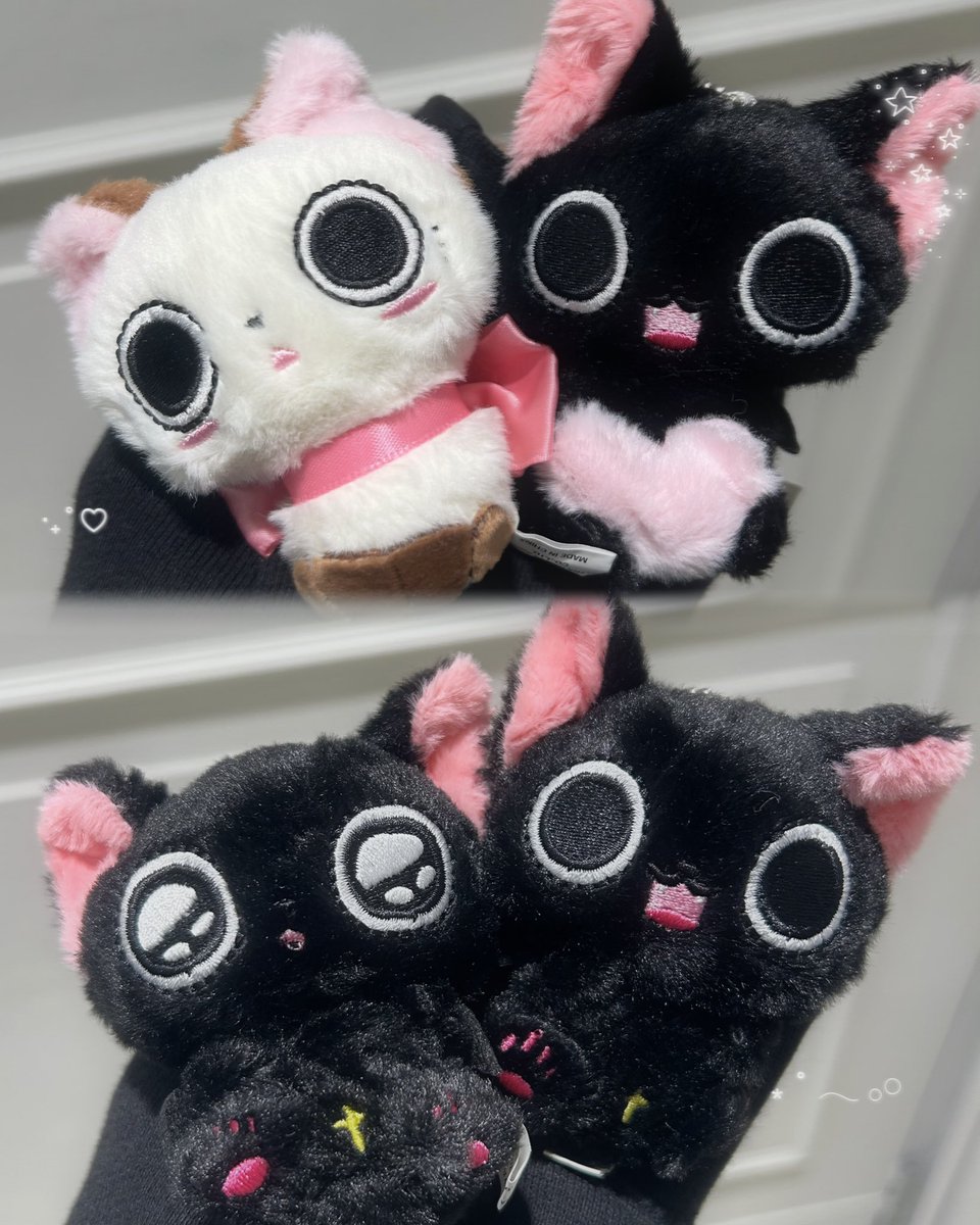cplasendai2's tweet photo. 🐈‍⬛おすすめ新商品紹介🎀

【にゃんぱいあ ぬいぐるみマスコット】

にゃんぱいあのぬいぐるみマスコットが登場です！ボールチェーン付きでバッグなどに付けられます👜
ふわふわ素材でとってもかわいい🖤

#シープラ　#カプセルトイ https://t.co/X1b18toTA7