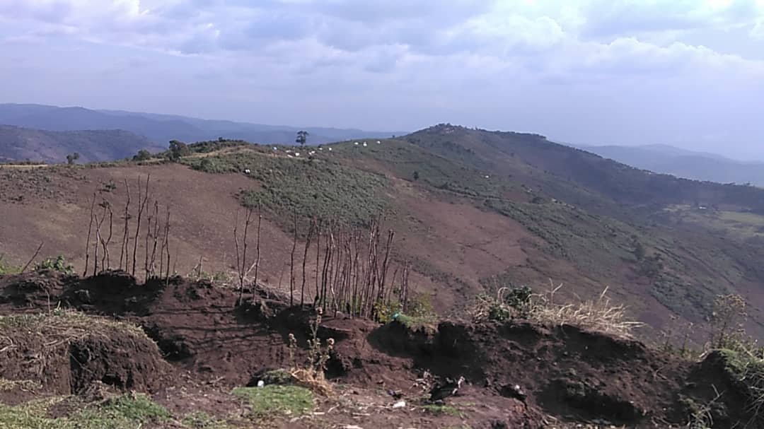 etiennemulindwa's tweet photo. #Sud_Kivu. Ici #Itombwe: la guerre s'est intensifiée depuis juillet. Plus de six villages incendiés. Des populations en fuite. Depuis le 24 sept, aucun répit dans les villages #Magunda, #Kashongo,#Maheta,#Msongyo. Les écoles et structures sanitaires toujours fermées ou détruites https://t.co/BqbNTo63xM