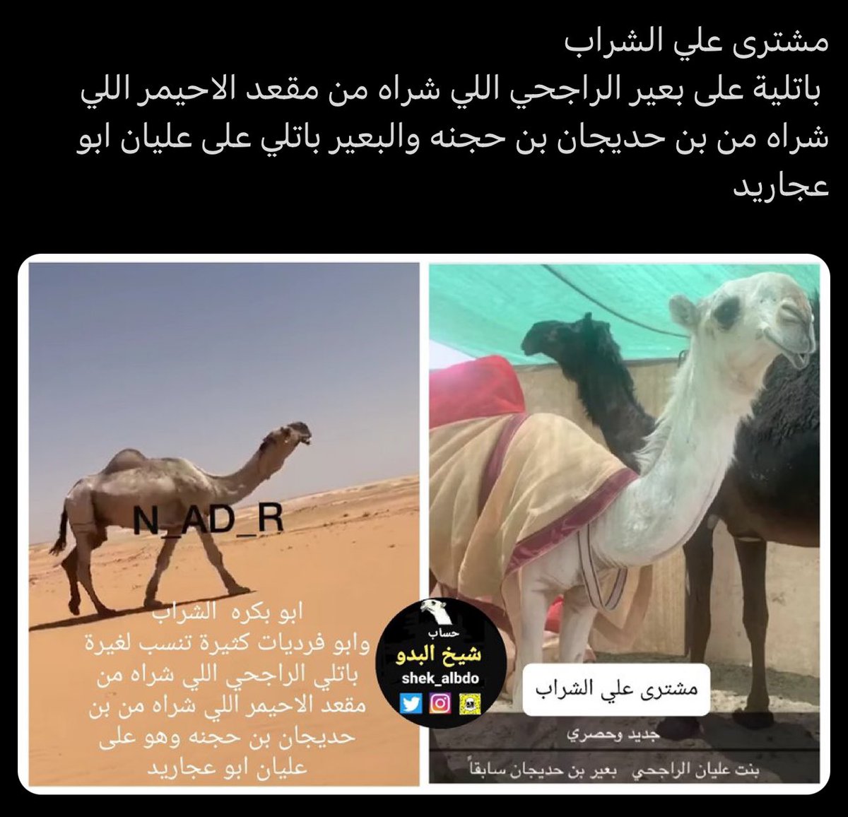 a_sre1's tweet photo. @bin_mossleh هذي شاركت في سنه الشداد 
وطلع الشراب ووضحها
سنها مفروده تحق ويقولون بنت مضيم
ومضيم من النسخه الاولى مالقح 😂 https://t.co/SAQb64eFPI