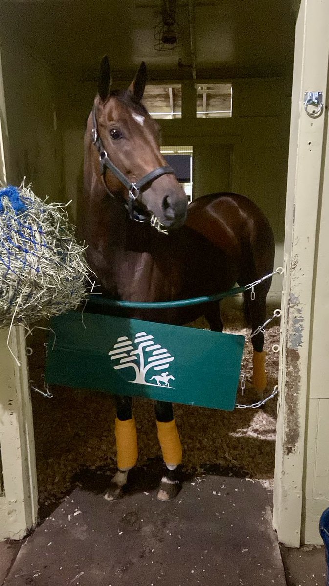 HipicoColombia's tweet photo. 🚨🚨Update 🚨🚨

Los locos de COLOMBIA llegamos a @BelmontPark1905 con nuestro reclamo de $7.500!  Corremos en la 4 de hoy!

Esta historia se escribe cada día y nosotros nos gozamos cada paso 

@hectorgomezdoct @estebanaglc @CarlosGArango https://t.co/GPaHnmUhad