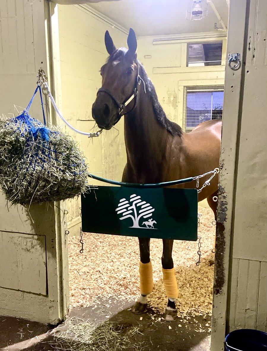 HipicoColombia's tweet photo. 🚨🚨Update 🚨🚨

Los locos de COLOMBIA llegamos a @BelmontPark1905 con nuestro reclamo de $7.500!  Corremos en la 4 de hoy!

Esta historia se escribe cada día y nosotros nos gozamos cada paso 

@hectorgomezdoct @estebanaglc @CarlosGArango https://t.co/GPaHnmUhad