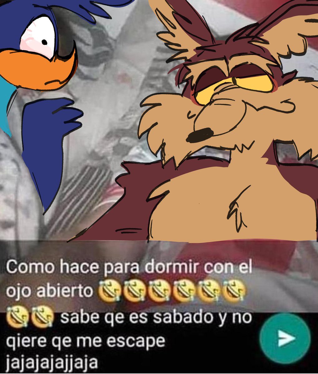 jardineru_'s tweet photo. Esto nomás pq me dió risa hacerlo 😭 #wileroad #coyotevsacmeㅤㅤ https://t.co/FgjNJYHioW