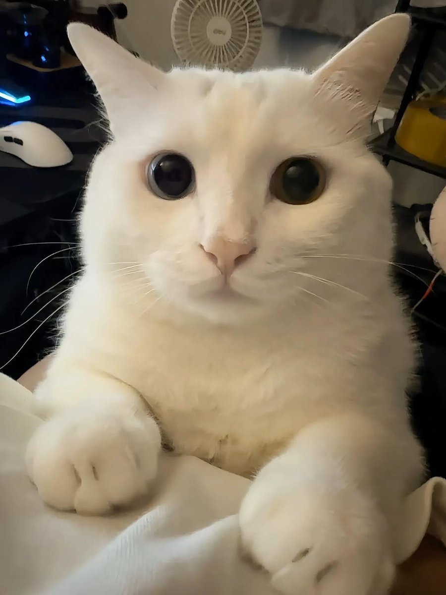 Mattyplus77's tweet photo. 💪 🥰 ❤️ 💫 财富不会犒劳苦劳，只看结果和产出
手游|跑分 | 黑户💝|🥳灰产🙌 |😃现金|罚金|挣钱|透析|赚钱|💖副业❤️|💝上岸🌟|支付宝🎉|🤩金融😄|💯支援
山重水复疑无路，柳暗花明又一村
日结3000，0风险大量上人！ https://t.co/itvyYVhy52