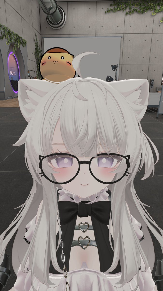 3qsAu2's tweet photo. くりまんじゅう先輩がだいすきだから頭にのっけたぜー。頭の上が酒くさいよ... https://t.co/0vrrTHB9sG