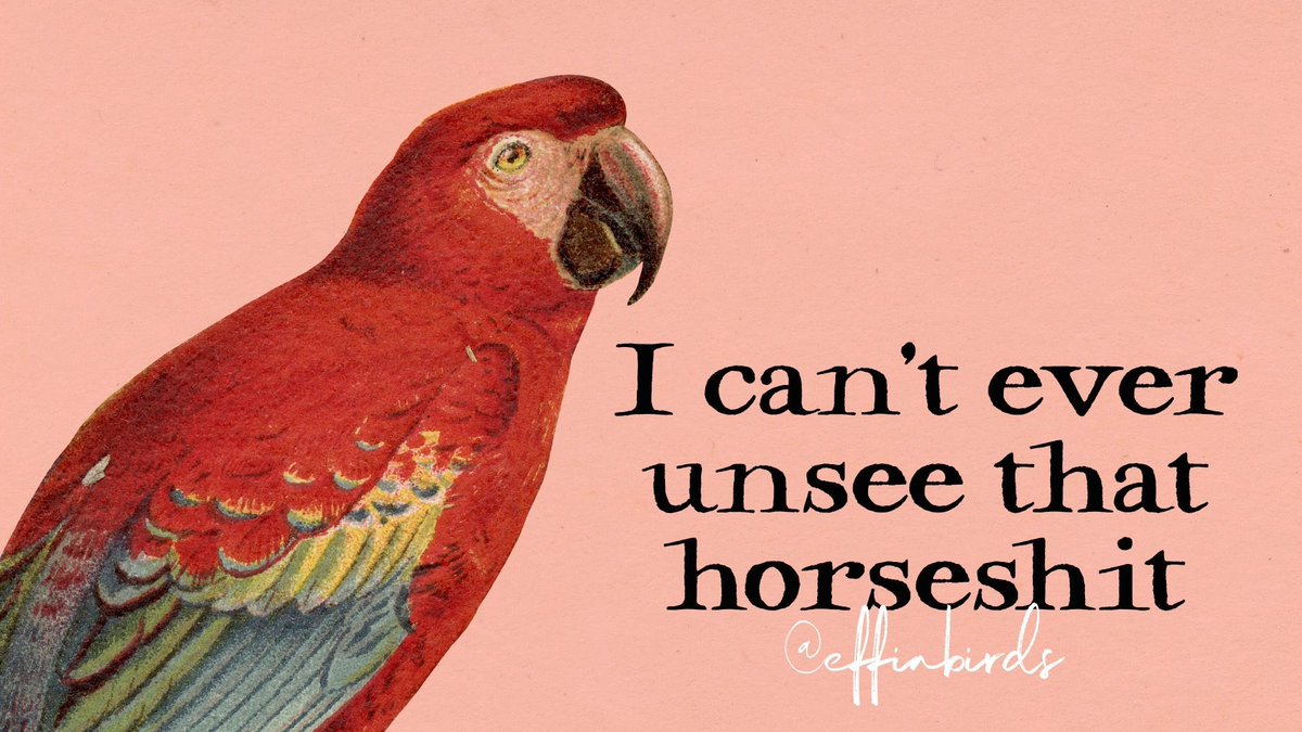 EffinBirds's tweet photo. https://t.co/jM2RGJJbTC