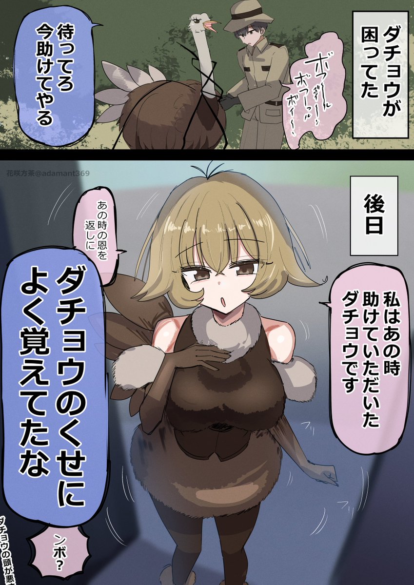 adamant369's tweet photo. ダチョウの恩返し　再掲 https://t.co/EjQbOmqise