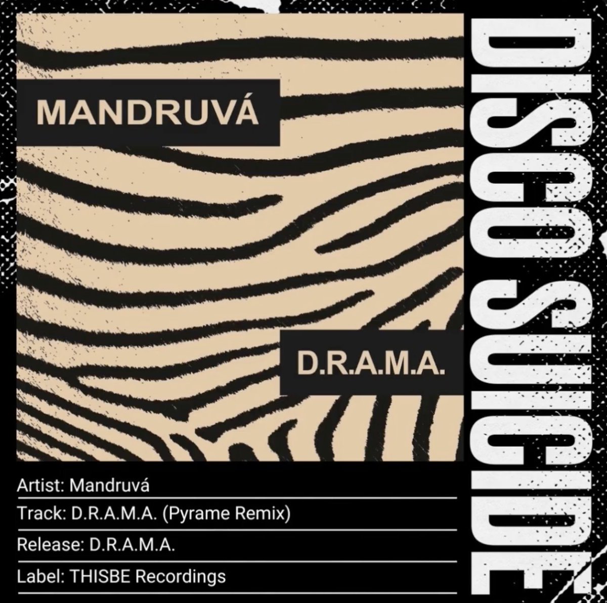 DiscoSuicide_'s tweet photo. NEW PREMIERE 🚨
#Mandruvá "D.R.A.M.A. (#Pyrame Remix)" is live!
Out via #THISBERecordings
Listen: https://t.co/v4x1KsJpsO
#electronic #psychedelic #groovy https://t.co/FL8S2n7DAz