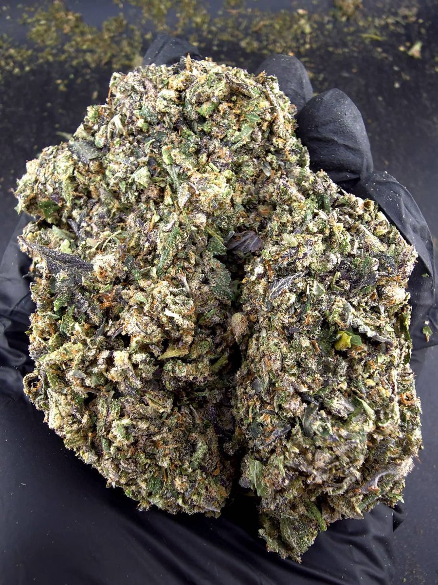 shawty_d0px4mao's tweet photo. ⏳【 🍃Indoor • Powder 】🇹🇭

🔸 Blue Nerds 💙🍬
🔸 Hybrid 🔸THC26%👃🏼💙

Aroma🔻Apple🍎Blueberry🫐Citrus🍋‍🟩

💸100G = 750฿ , 1KG = 3,450฿💸

🛍️สนใจสินค้า @Line 
ทักแชท ตามสั่งได้เลยครับ🔻
Line ID (.) ▶️ 0924153858.
https://t.co/Srs5oTp9QA

#weed #cannabis #BaiTrim #og #ใบทริม https://t.co/WVpwtrrWqE
