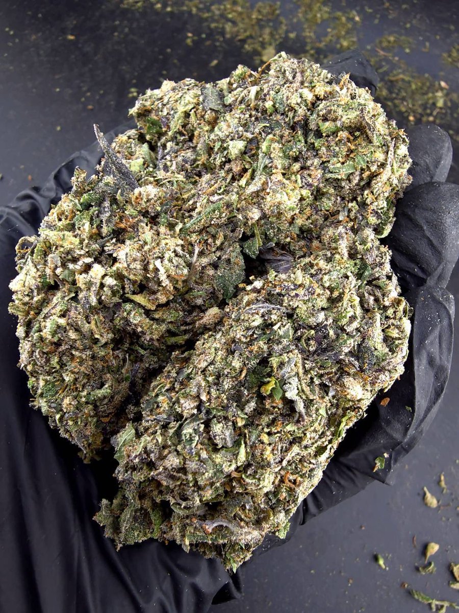 shawty_d0px4mao's tweet photo. ⏳【 🍃Indoor • Powder 】🇹🇭

🔸 Blue Nerds 💙🍬
🔸 Hybrid 🔸THC26%👃🏼💙

Aroma🔻Apple🍎Blueberry🫐Citrus🍋‍🟩

💸100G = 750฿ , 1KG = 3,450฿💸

🛍️สนใจสินค้า @Line 
ทักแชท ตามสั่งได้เลยครับ🔻
Line ID (.) ▶️ 0924153858.
https://t.co/Srs5oTp9QA

#weed #cannabis #BaiTrim #og #ใบทริม https://t.co/WVpwtrrWqE