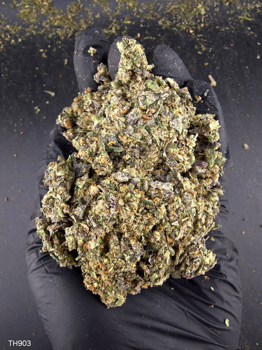 valetag4's tweet photo. ⏳【 🍃Indoor • Powder 】🇹🇭

🔸 Jealousy 🕶️⛽️
🔸Hybrid  🔸THC30%👃🏼

Aroma🔻Beery🫐Cherry🍒Citrus🍋‍🟩

💸100G = 750฿ , 1KG = 3,450฿💸

🛍️สนใจสินค้า @Line 
ทักแชท ตามสั่งได้เลยครับ🔻
Line ID (.) ▶️ 0924153858.
https://t.co/wW1z2epETi

#weed #BaiTrim #og #cannabis #ใบทริม #กัญชา https://t.co/Vg4O6Ij0pl