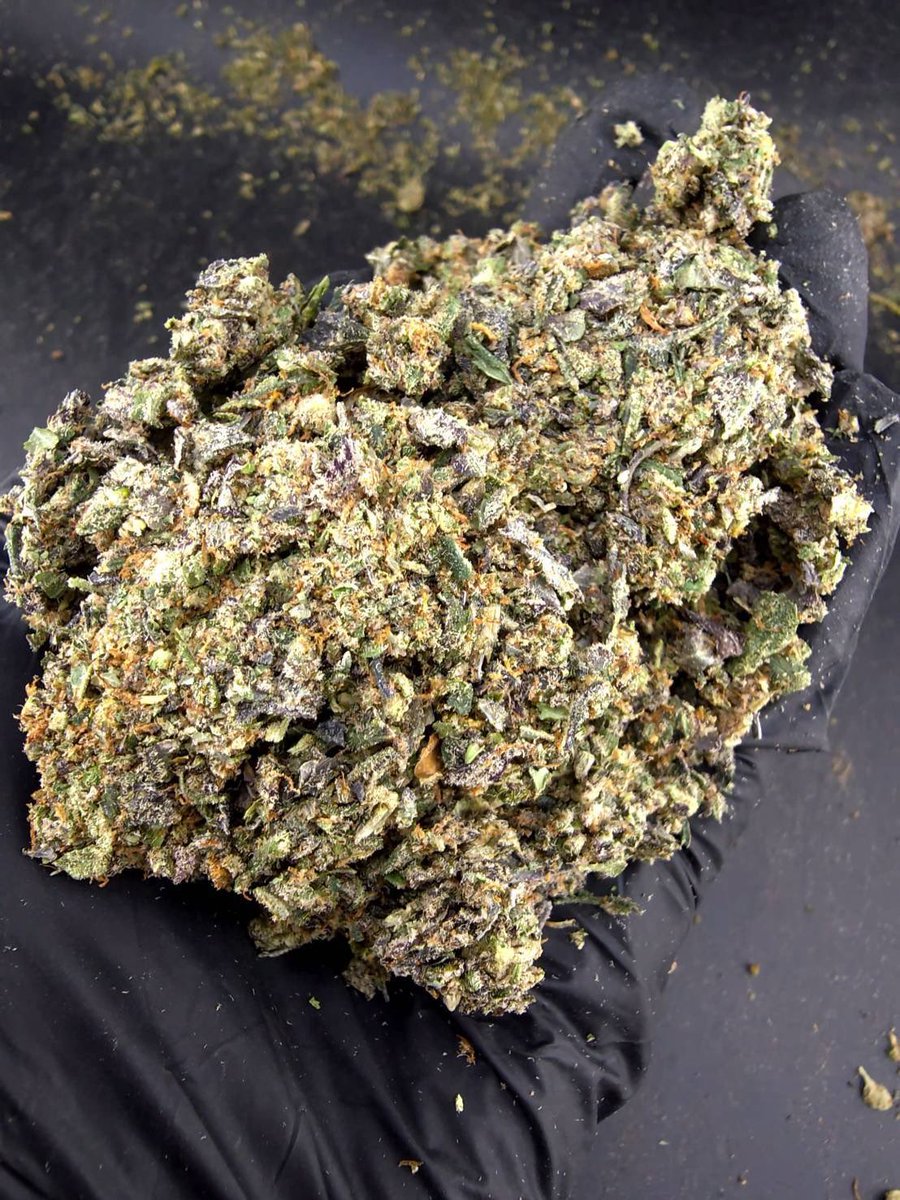 valetag4's tweet photo. ⏳【 🍃Indoor • Powder 】🇹🇭

🔸 Jealousy 🕶️⛽️
🔸Hybrid  🔸THC30%👃🏼

Aroma🔻Beery🫐Cherry🍒Citrus🍋‍🟩

💸100G = 750฿ , 1KG = 3,450฿💸

🛍️สนใจสินค้า @Line 
ทักแชท ตามสั่งได้เลยครับ🔻
Line ID (.) ▶️ 0924153858.
https://t.co/wW1z2epETi

#weed #BaiTrim #og #cannabis #ใบทริม #กัญชา https://t.co/Vg4O6Ij0pl