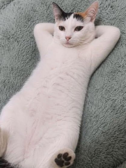 1ovnoa's tweet photo. ️ ⬅️노아가 멤버들과 있을 때
 ︎ ︎ ︎ ︎ ︎ ︎ ︎ ︎ ︎ ︎ ︎ ︎ ︎ ︎ ︎ ︎ ︎ ︎ ︎ ︎ ︎ ︎ ︎ ︎ ︎ ︎ ︎ ︎ ︎ ︎ ︎ ︎ ︎ ︎ ︎ ︎ ︎ ︎ ︎ ︎ ︎ ︎ ︎ ︎ ︎ ︎ ︎ ︎ bubble에 있을 때 ➡️ https://t.co/eYXRY5Rebv