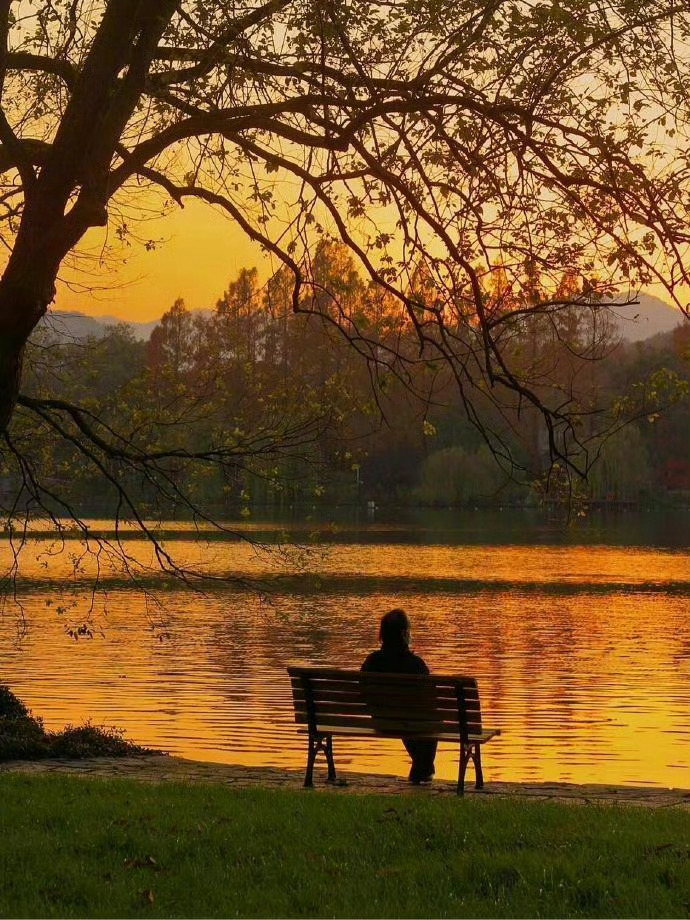 AnniceRtxh's tweet photo. Hoy me tomé 10 minutos para mirar el atardecer. El sol se está ocultando entre los árboles y me siento muy tranquila.， https://t.co/TZ1VCP5IGK