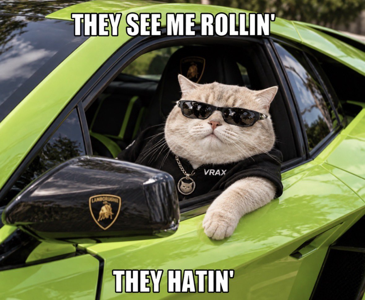 Vraxrh's tweet photo. The hate only fuels the desire to become even greater. Commander $VRAX is in charge. 🫡 https://t.co/whnsxzwSE8