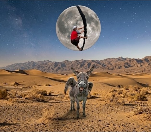 MindQuill_5's tweet photo. @Crusader_1980 They mistook this for Muhammads donkey 🫏 airlines 😂😂😂

then got a rude landing 🛬😂😂 https://t.co/YAkl1XOFJG
