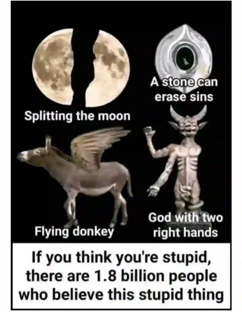 MindQuill_5's tweet photo. @Crusader_1980 They mistook this for Muhammads donkey 🫏 airlines 😂😂😂

then got a rude landing 🛬😂😂 https://t.co/YAkl1XOFJG