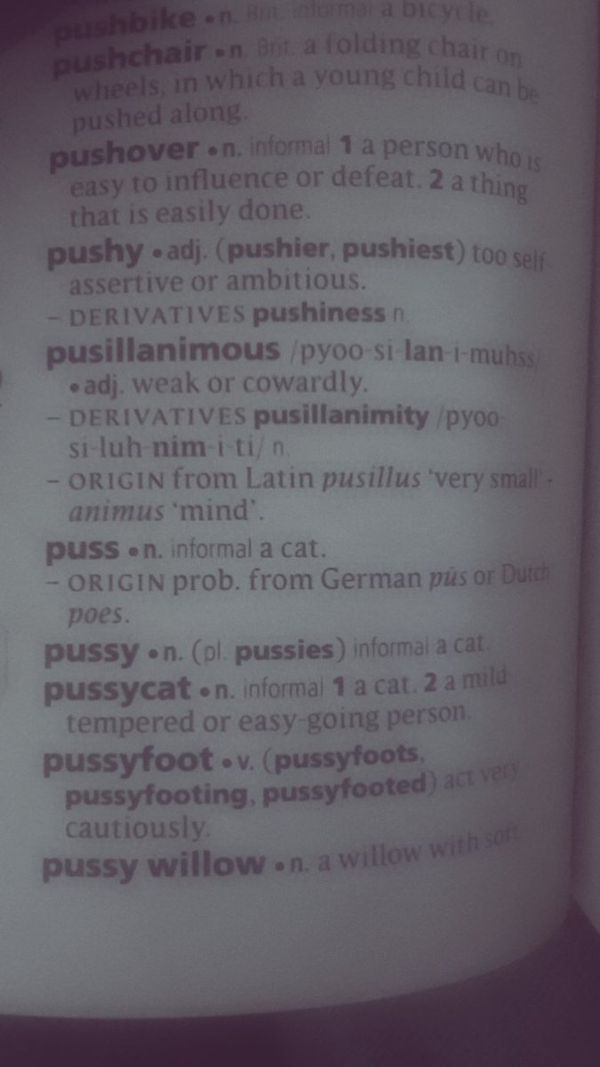 Fwjayy29's tweet photo. You're right.
This is what “pussy” and “missionary” mean in the dictionary. 

I genuinely want to know how and where they got those alternate meaning from. https://t.co/bRdA1kq5zp