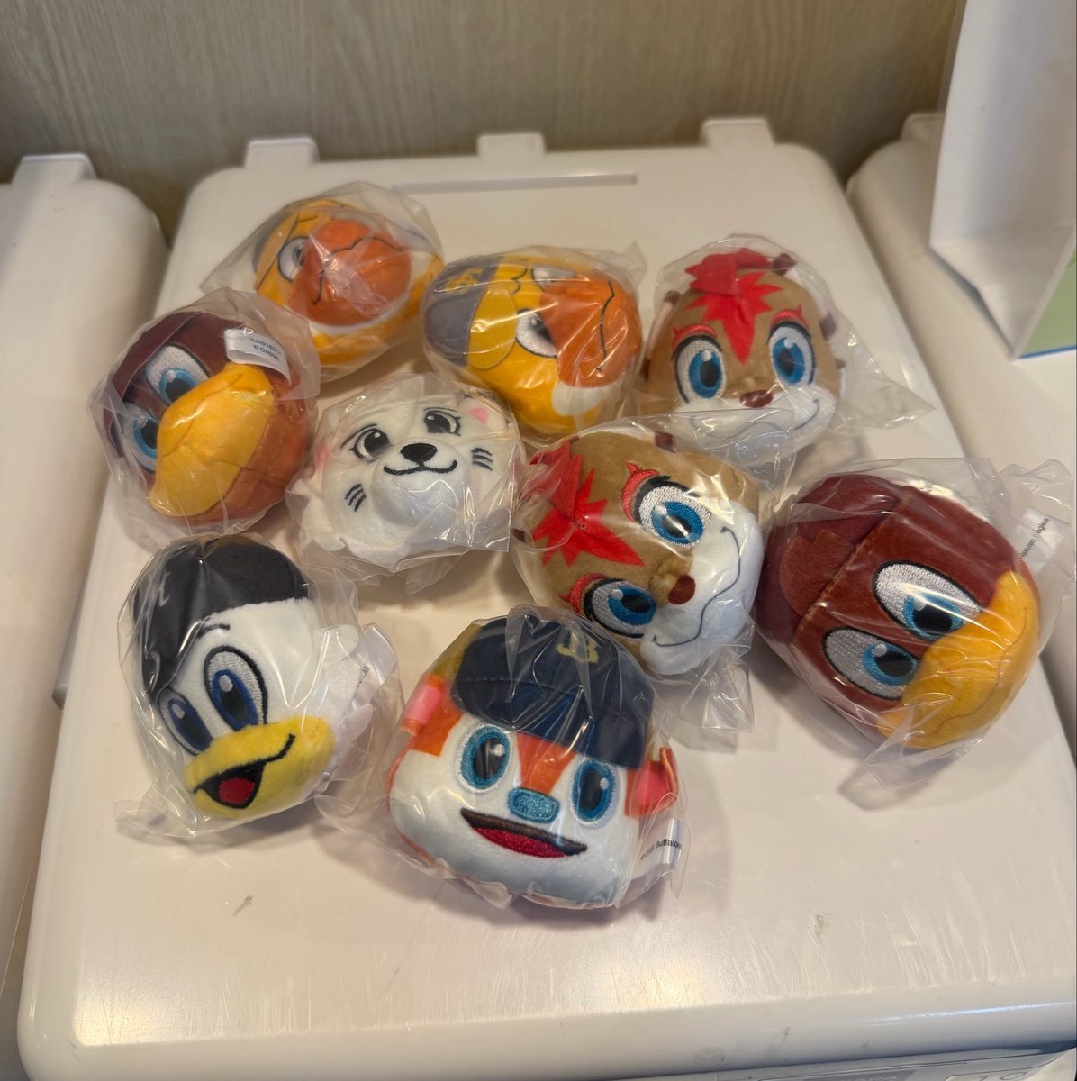 I2IO__rym's tweet photo. 4500円かけてやっと出てくれた出なさすぎじゃないですか^_^︎^_^︎？？ https://t.co/sRX1nAQnMl
