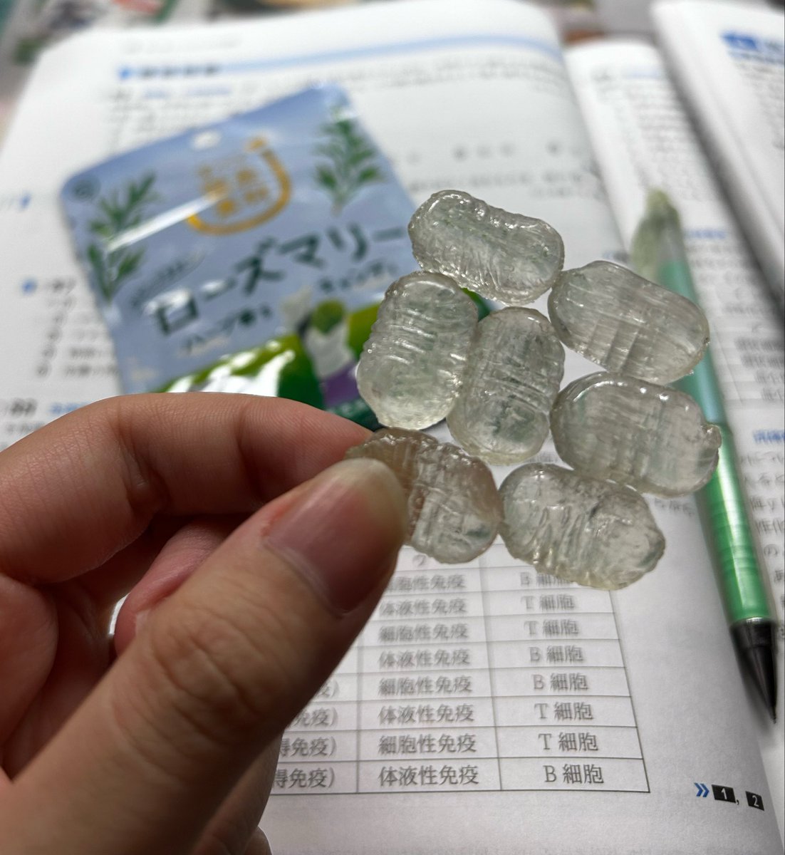n2mgmg's tweet photo. だんごむしみたいだね
ちなみに私は今朝目に虫入りました https://t.co/WIrd7bI4Jd