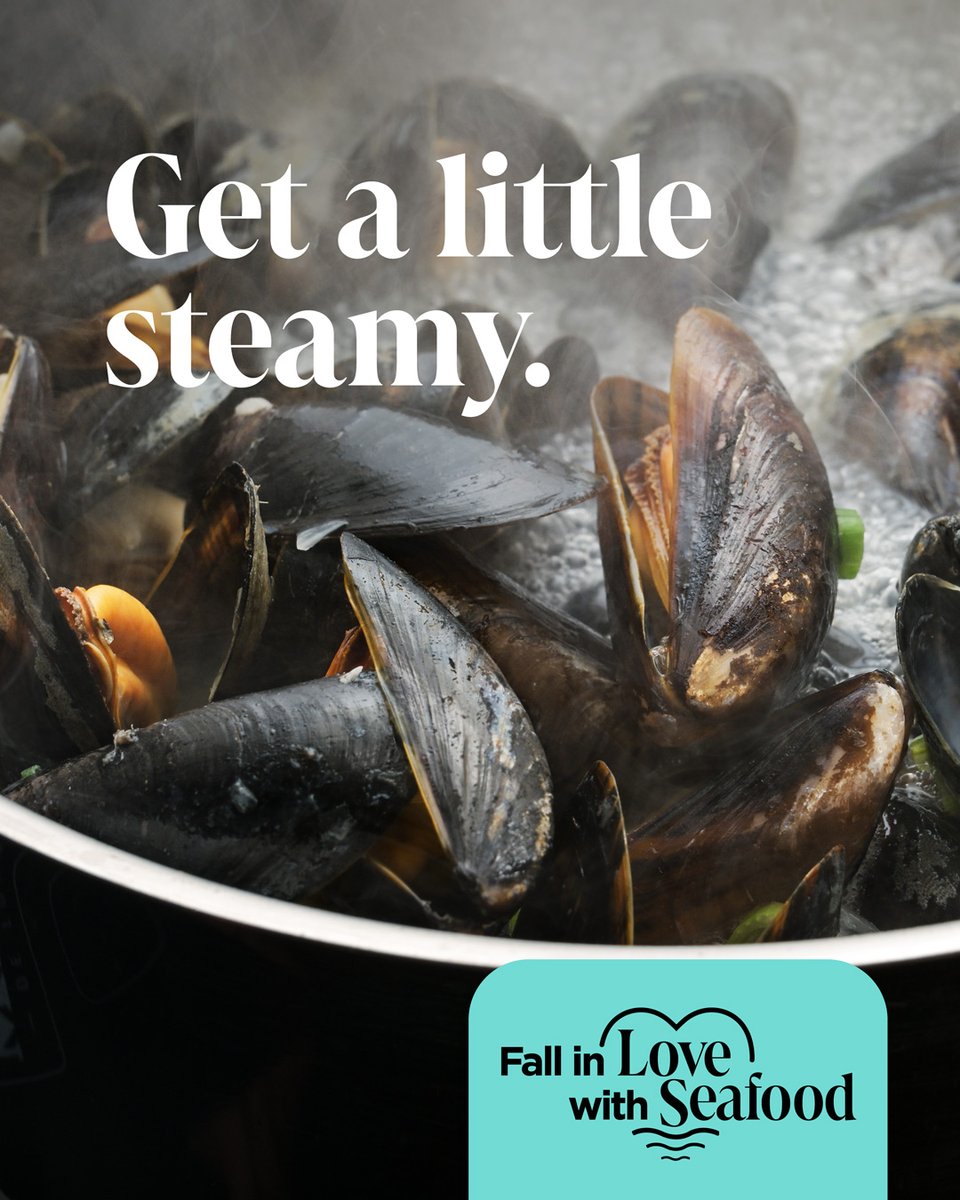 Seafood4Health's tweet photo. If you’re looking for a new flame or to spice things up a bit, set the mood with seafood, and the rest of the night will take care of itself. Learn more: https://t.co/V7orXtk47Z
#mussels #loveseafood #fallinlovewithseafood #seafood #Seafood4Health #Seafood3xWk #Omega3s https://t.co/7OIDGRSxZG