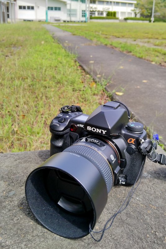 zagato__zero1's tweet photo. #SONY #α900 でシルバーウィークに #山梨 で撮影してきたもの。
かつての名機と呼ばれ、国内販売されたSONY唯一の35mmフルサイズ #一眼レフカメラ も古さは隠せないものの、まだまだ現役で戦える。
SONY #Aマウント のレンズはお安く出回っているので、色々揃えられるメリットは大きい。 https://t.co/NFbWSma9LC