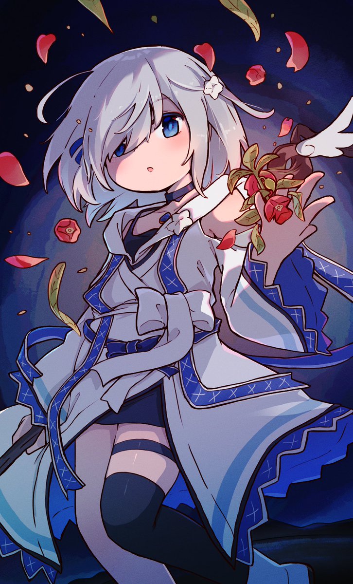 kashi_neco's tweet photo. 五十鈴れんとホウセンカ https://t.co/Ygr74kI7Iv