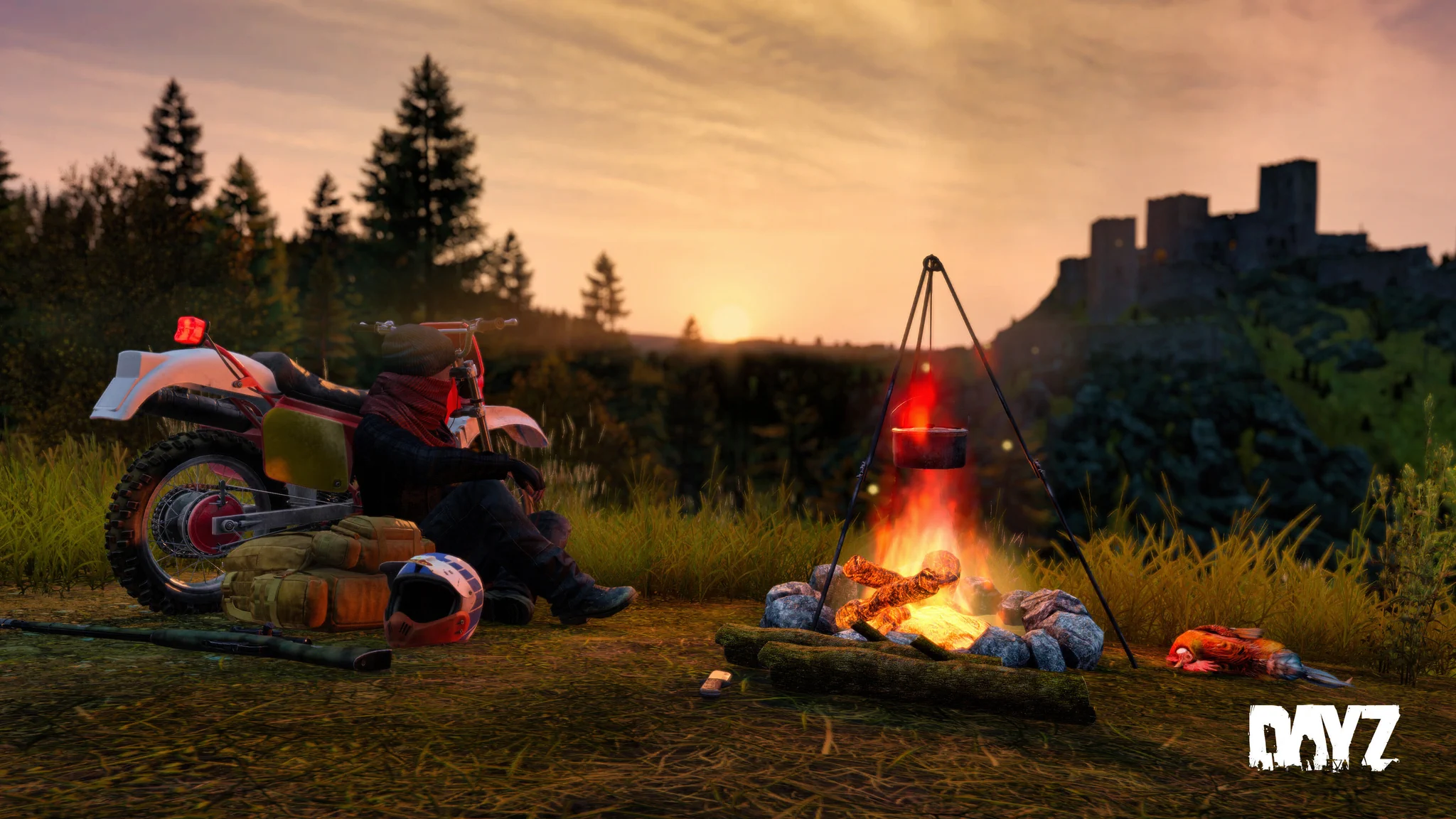 DayZ 🖥 🎮 ❤️ on X: 