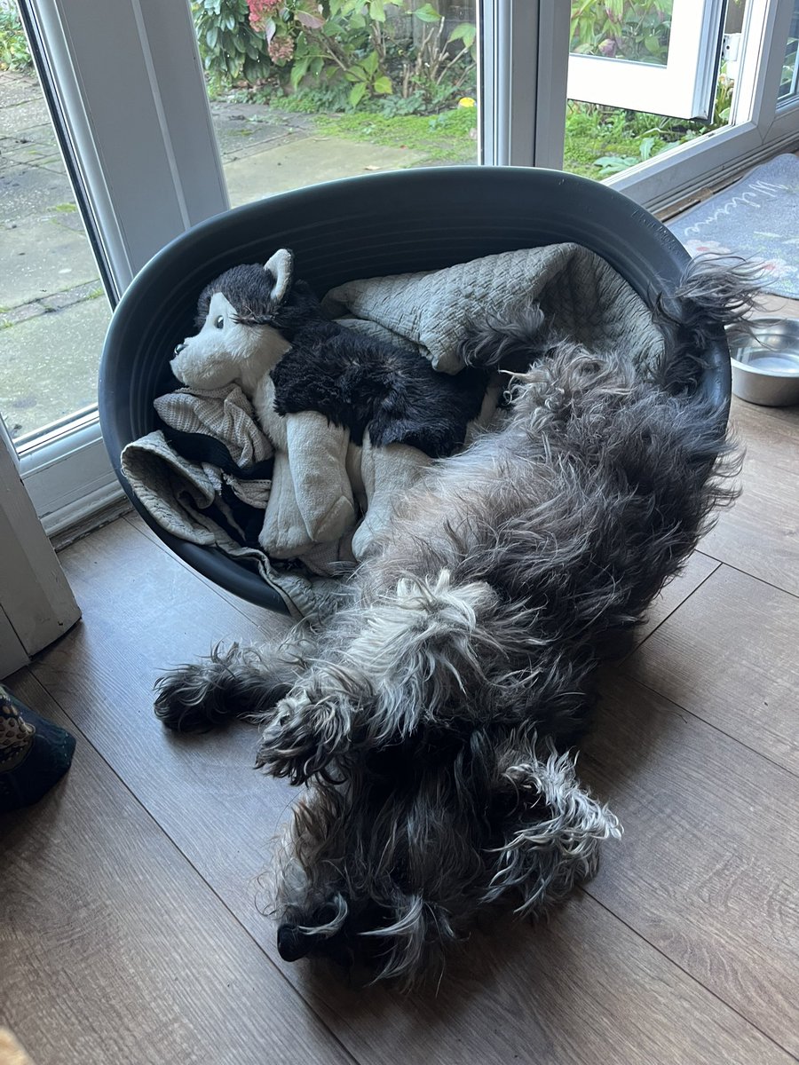 battymoth's tweet photo. okay girl ! whatever’s comfortable ! https://t.co/a0fwRaYoSy
