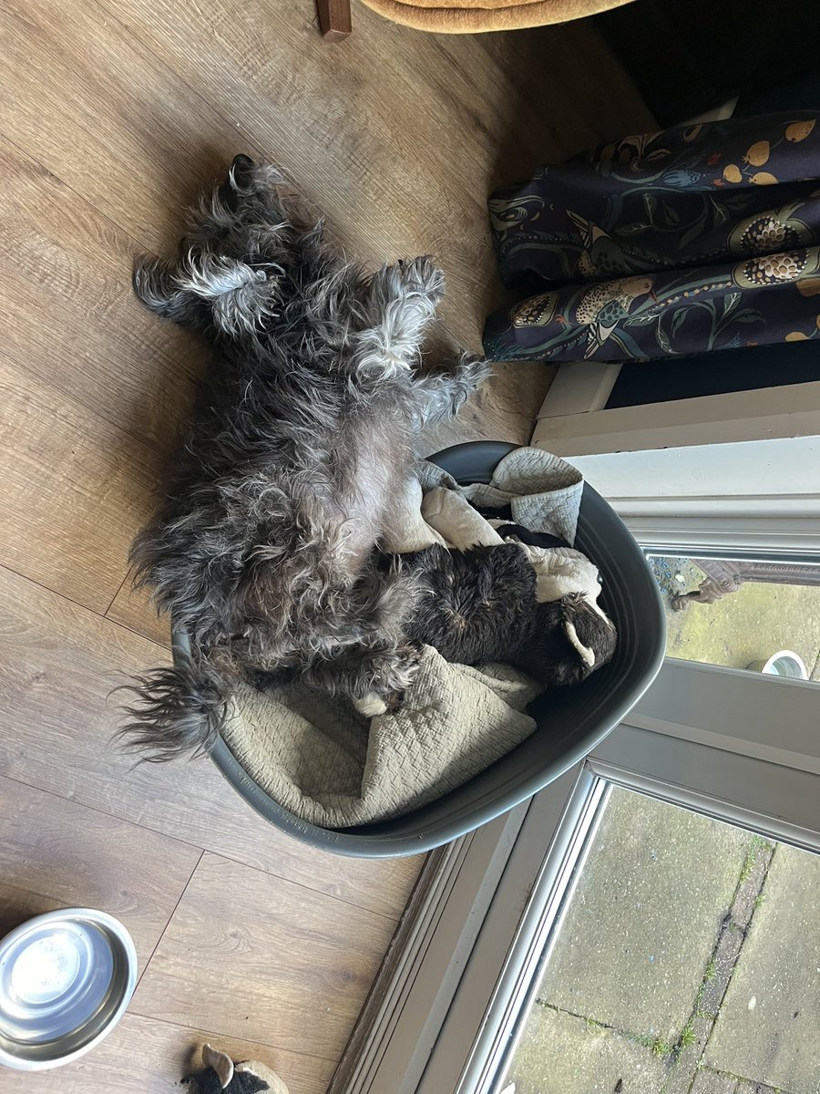 battymoth's tweet photo. okay girl ! whatever’s comfortable ! https://t.co/a0fwRaYoSy