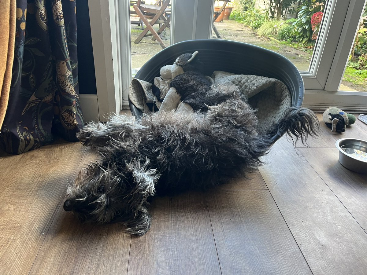 battymoth's tweet photo. okay girl ! whatever’s comfortable ! https://t.co/a0fwRaYoSy