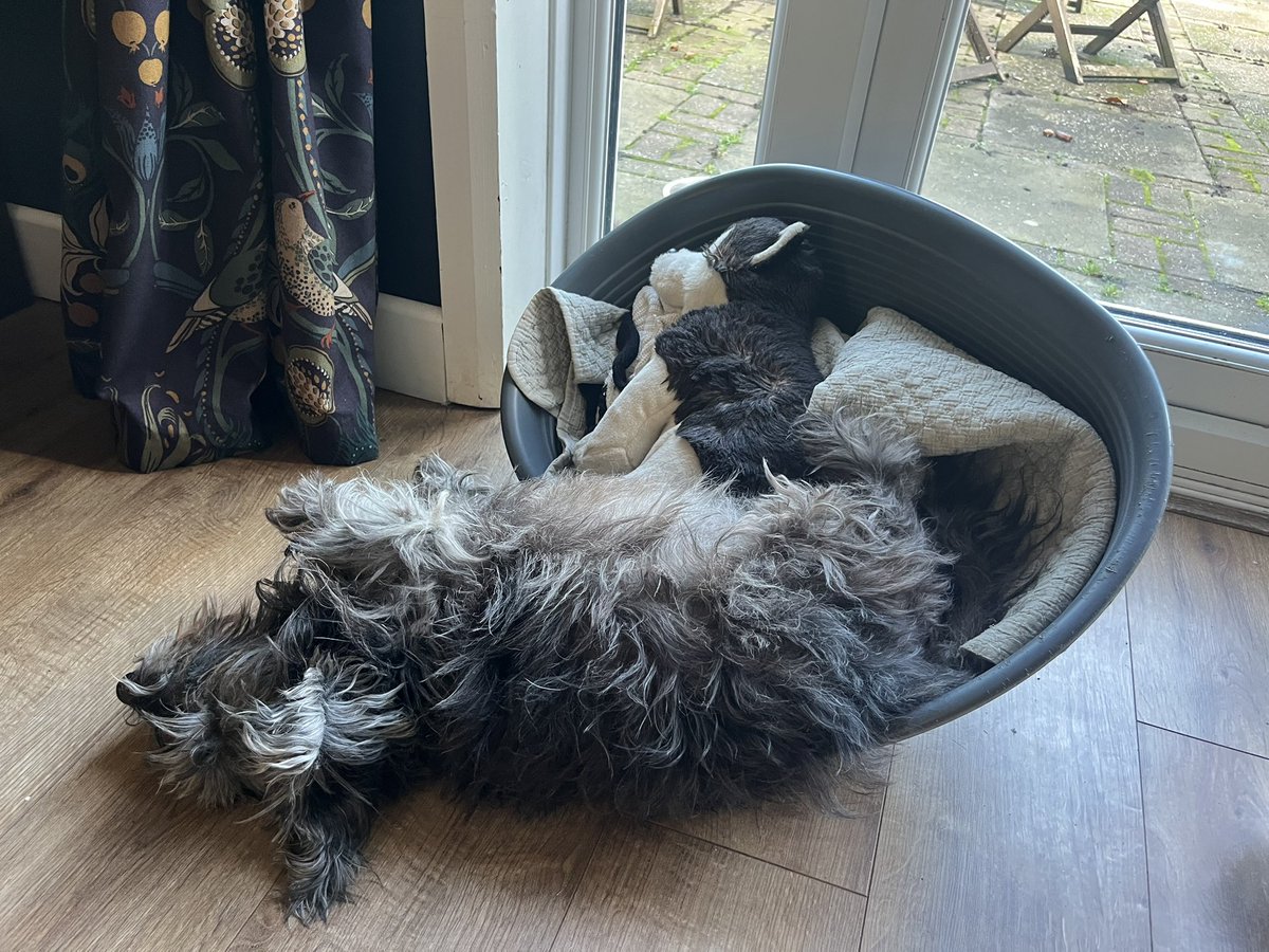 battymoth's tweet photo. okay girl ! whatever’s comfortable ! https://t.co/a0fwRaYoSy