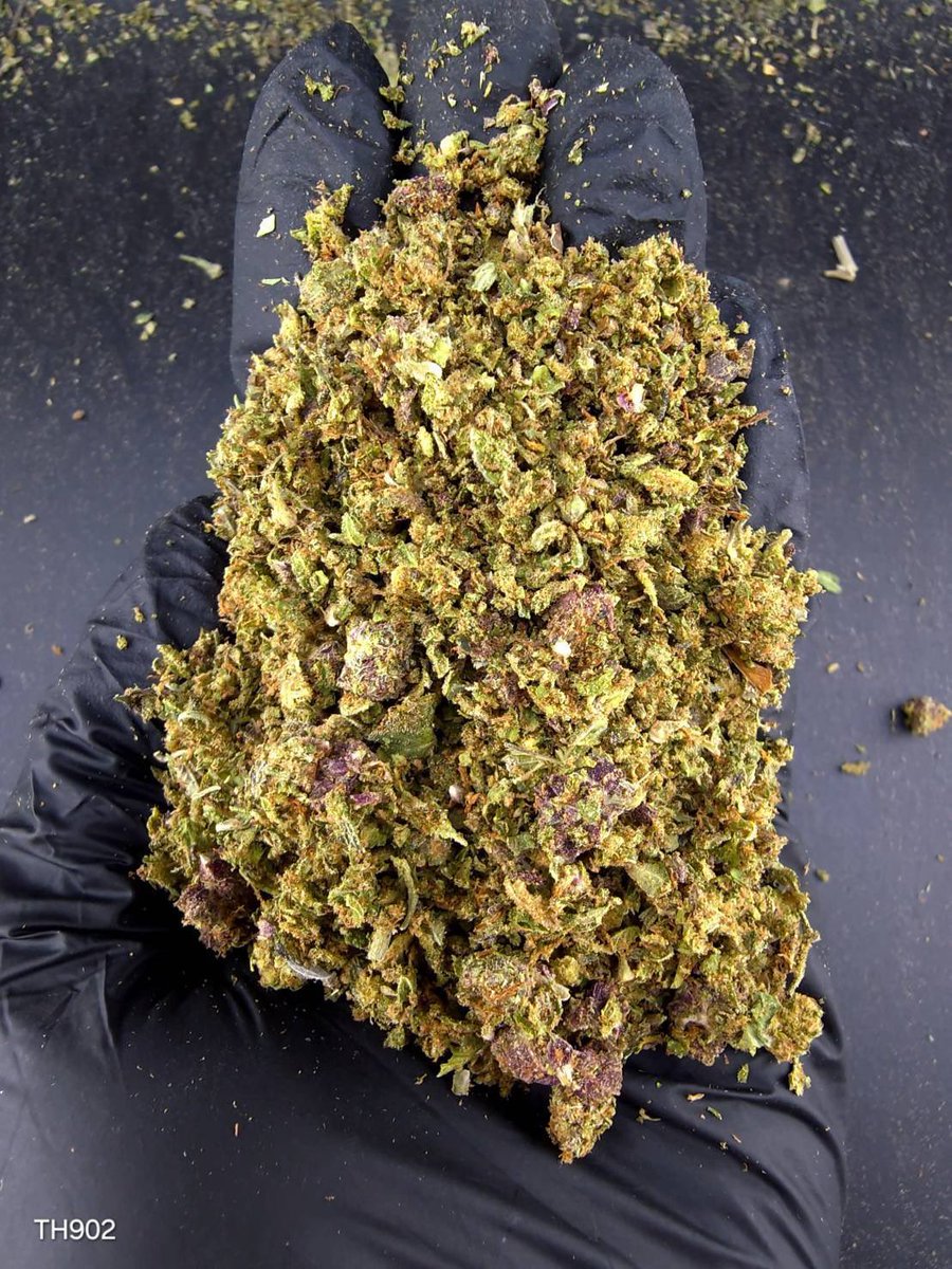Seikafourtwenty's tweet photo. ⏳【 🍃Indoor • Powder 】🇹🇭

🔸 Bubba ☕️🪵
🔸 Indica80% 🔸THC25%🌬️☕️

Aroma🔻Chocolate 🍫Coffee☕️Spicy🌶️

💸100G = 550฿ , 1KG = 1,999฿💸

 🛍️สนใจสินค้า @Line 
ทักแชท ตามสั่งได้เลยครับ🔻
Line ID (.) ▶️ 0924153858.
https://t.co/2ctg71aMCD

#weed #cannabis #BaiTrim #og #กัญชา https://t.co/KAhP15tJtQ