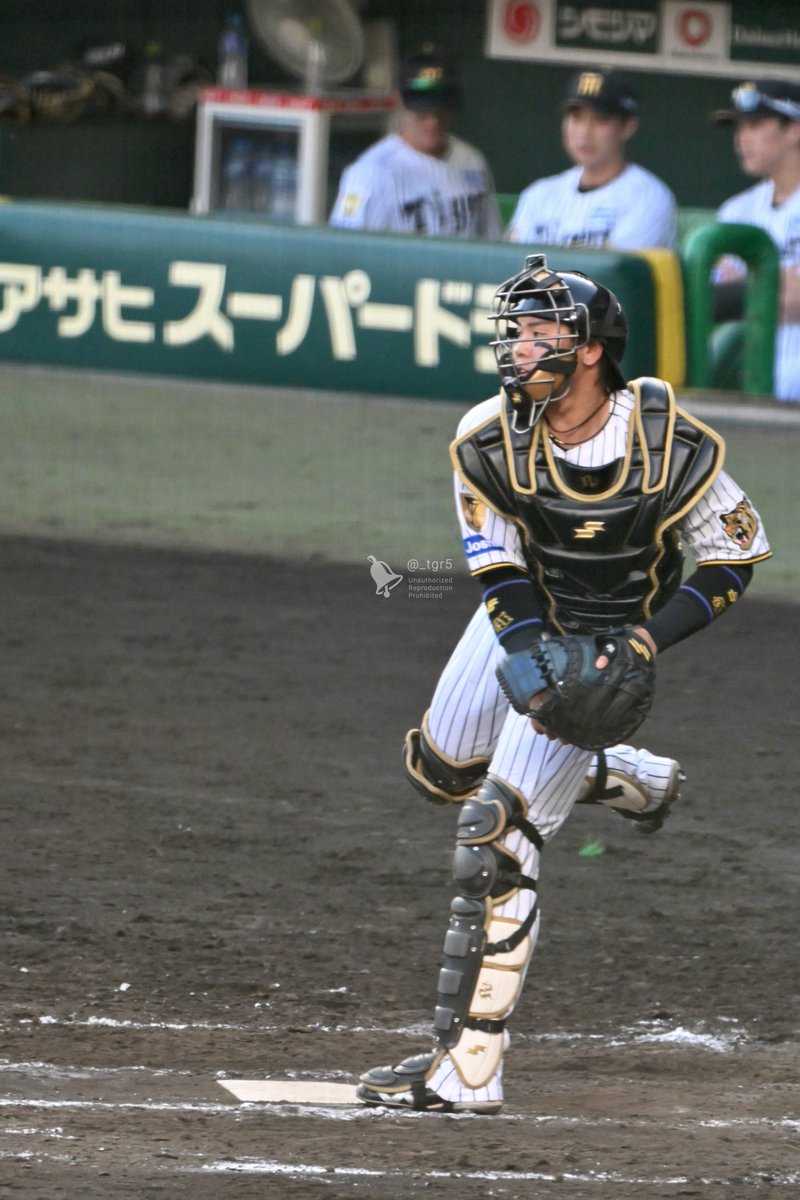 _tgr5's tweet photo. M2のために梅野の写真を準備してたのに載せられへんくなっちゃったから載せとくわね
2026.04.25 https://t.co/8txvlADMnH
