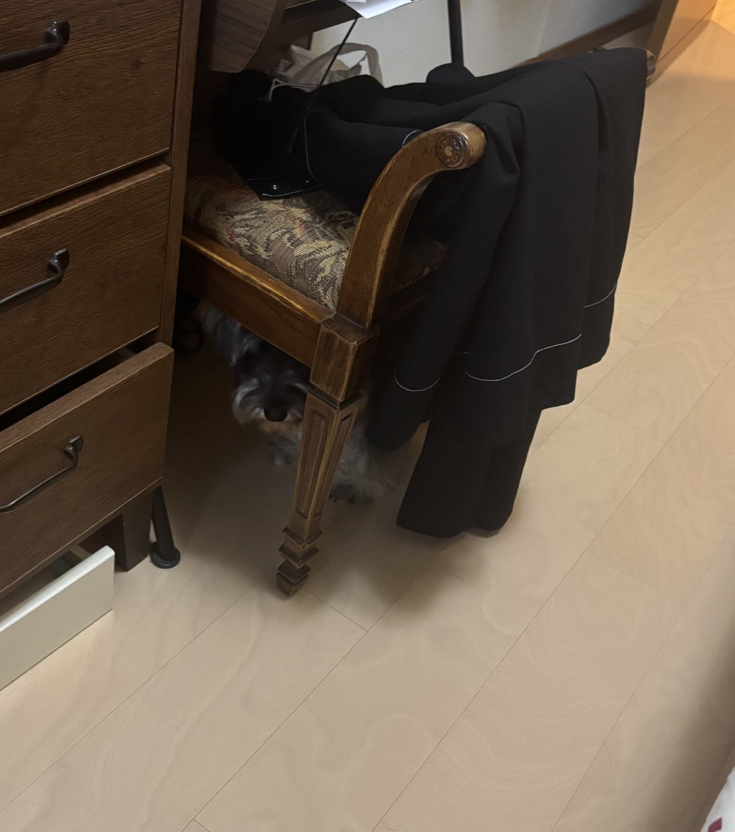aegipepe's tweet photo. 페페 찾아라 https://t.co/DmxCA3s5tP