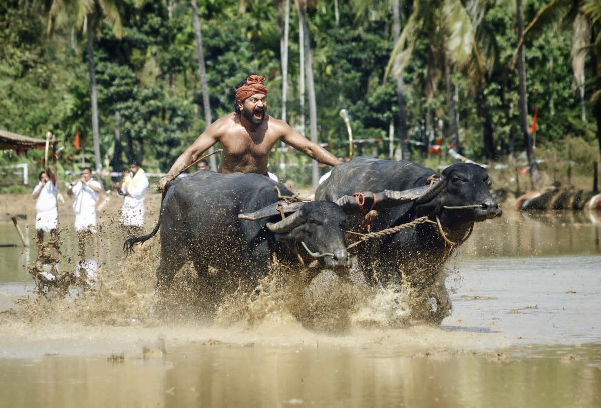 shetty_rishab's tweet photo. Kantara – A Legend.

Four years since Kantara came to life on the big screen. The rest is history. Awards and appreciation started pouring in from everywhere, but the love you all showered on the film remains unmatched.

It was never just a film I made. It was a world I lived in, a story I carried within me, and a faith that shaped me. 

ಮನದಾಳದ ಕಥೆಯನ್ನು ಪರದೆ ಮೇಲೆ ತರಲು ನನ್ನೊಂದಿಗೆ ಹೆಜ್ಜೆ ಹಾಕಿದ, ಹಗಲಿರುಳು ಶ್ರಮಿಸಿದ ಪ್ರತಿಯೊಬ್ಬರಿಗೂ ಹೃದಯಪೂರ್ವಕ ಧನ್ಯವಾದಗಳು. ನಿಮ್ಮ ಪರಿಶ್ರಮ, ನಂಬಿಕೆ ಮತ್ತು ಪ್ರೀತಿಯೇ ಕಾಂತಾರವನ್ನು ನನಗಿಂತ ದೊಡ್ಡದಾಗಿಸಿತು.

ನನ್ನ ಈ ಪ್ರಯತ್ನವನ್ನು ಕೊಂಡಾಡಿ, ಅದನ್ನು ಗಡಿದಾಟಿಸಿ , ಕನ್ನಡದ ಹೆಮ್ಮೆಯ ಸಿನಿಮಾವಾಗಿ ಇಡೀ ಪ್ರಪಂಚಕ್ಕೆ ತಲುಪಿಸಿದ ಪ್ರತಿಯೊಬ್ಬ ಪ್ರೇಕ್ಷಕನಿಗೂ ನಾನು ಎಂದೆಂದಿಗೂ ಚಿರಋಣಿ.

Four years later, the love still feels just as overwhelming.

Forever grateful to everyone who believed in Kantara, celebrated it, and carried it from our soil to the world.

This legend belongs to all of you. ❤️🙏

#4YearsOfKantara #Kantara #RishabShetty
