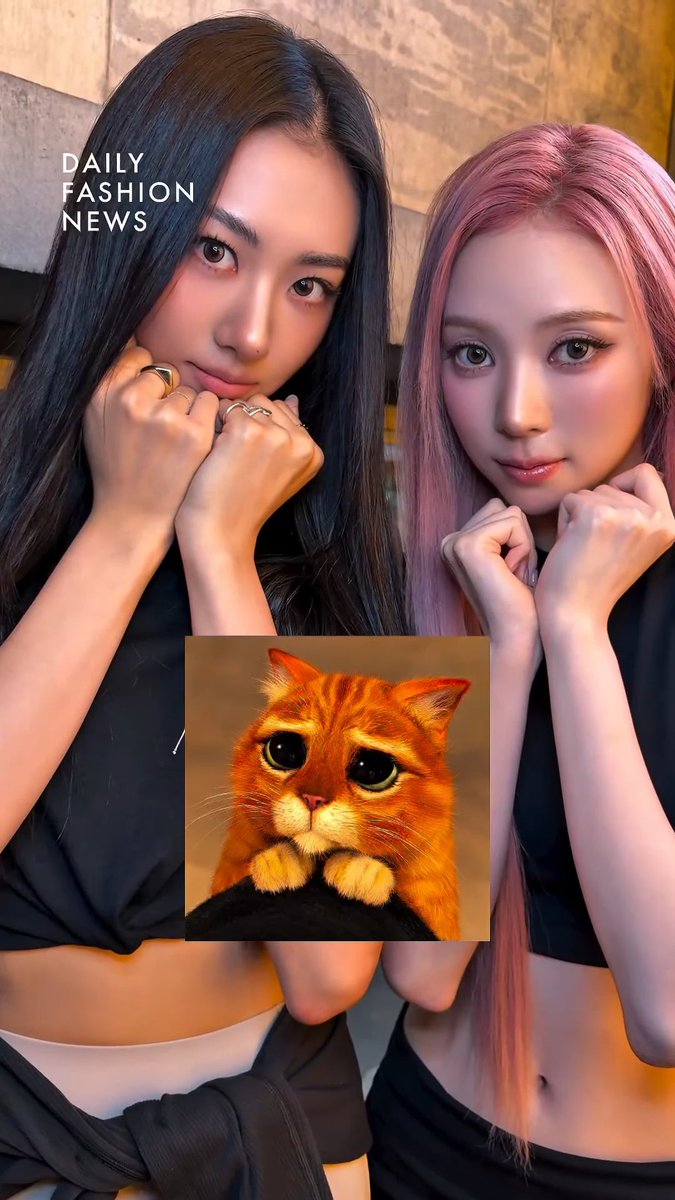Two women—one with long black hair and the other with pink hair—mirror the pose of an orange cat in the inset, both resting their chin on their clasped hands to imitate the feline's paws-up posture. The text "DAILY FASHION NEWS" appears in the upper left, tying the playful imitation to a lighthearted fashion post.