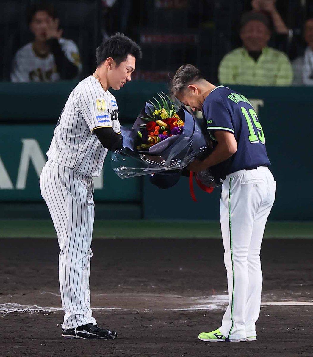 swallowspr's tweet photo. 本日の試合終了後、今季限りでの現役引退を表明した #石川雅規 投手へ、阪神タイガースの #石井大智 投手から花束が贈られました💐

このような機会を設けてくださった阪神タイガースの皆さまに、心より感謝申し上げます。

#swallows #燕心全開 https://t.co/XhmMbpdewg