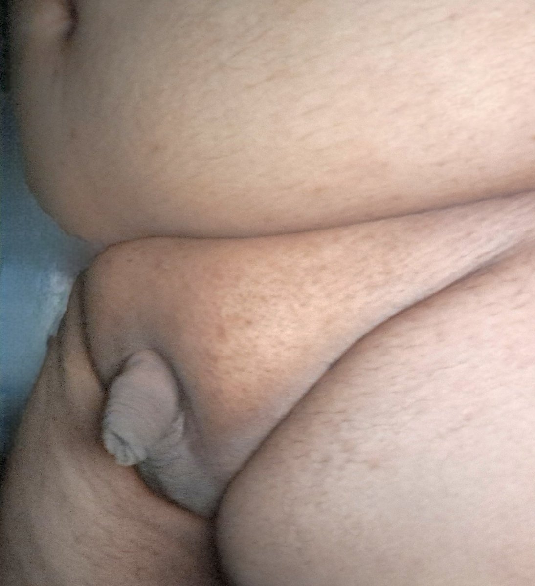 jossmo69's tweet photo. En estado natural #sissycaption #sissyslut #femboy #crossdresser #slut  #feminine #hot #mamas #Gay  #Penis #hot #nsfw #AdultContent #Leaked #nude #chubby #putipobre #public #Empinado #cum #hotwife #aporte #voyeur #Amateur  #tetas #casero #exhibicionismo #nudism #sissy https://t.co/03Qjfcivxr