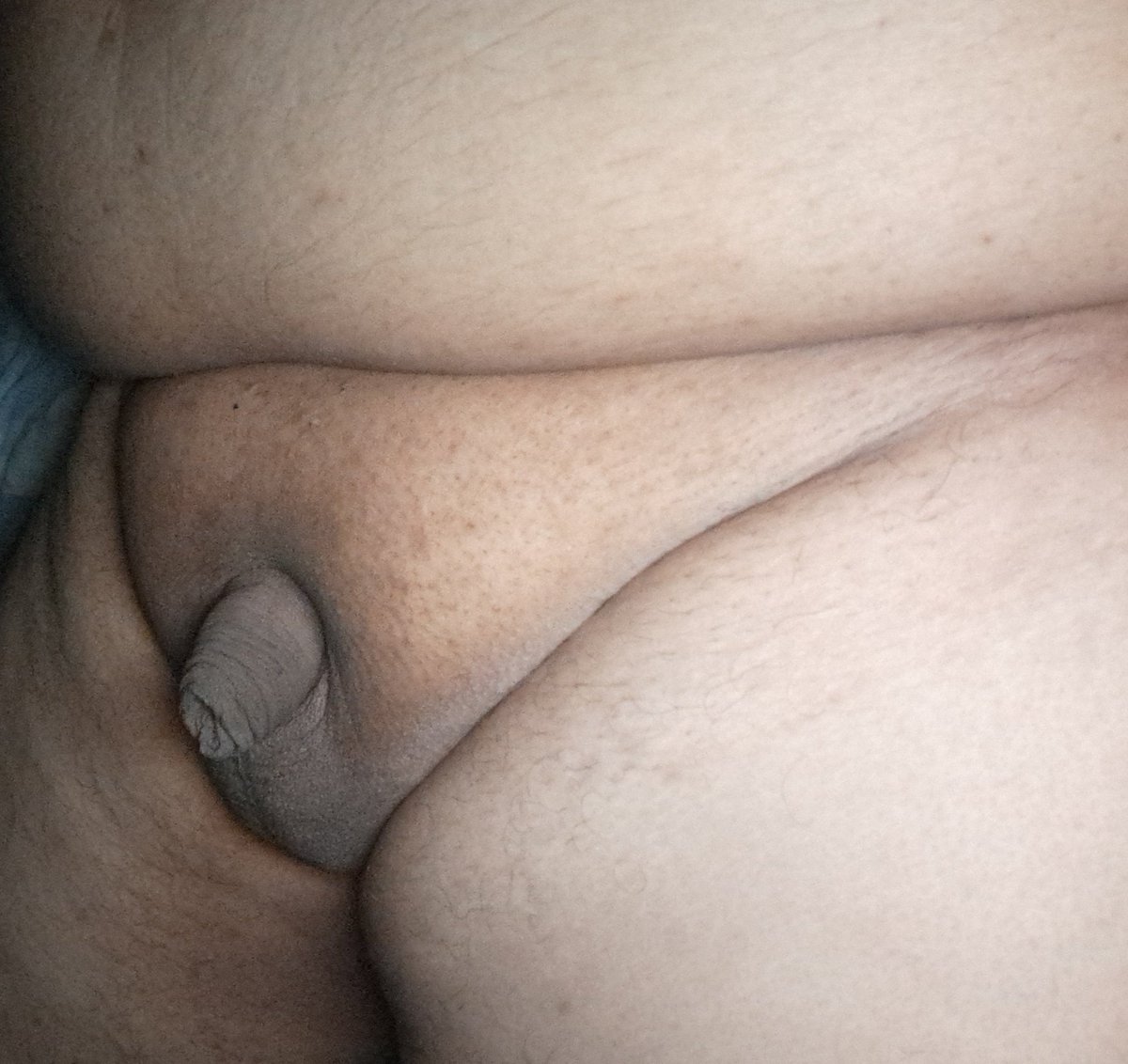 jossmo69's tweet photo. En estado natural #sissycaption #sissyslut #femboy #crossdresser #slut  #feminine #hot #mamas #Gay  #Penis #hot #nsfw #AdultContent #Leaked #nude #chubby #putipobre #public #Empinado #cum #hotwife #aporte #voyeur #Amateur  #tetas #casero #exhibicionismo #nudism #sissy https://t.co/03Qjfcivxr