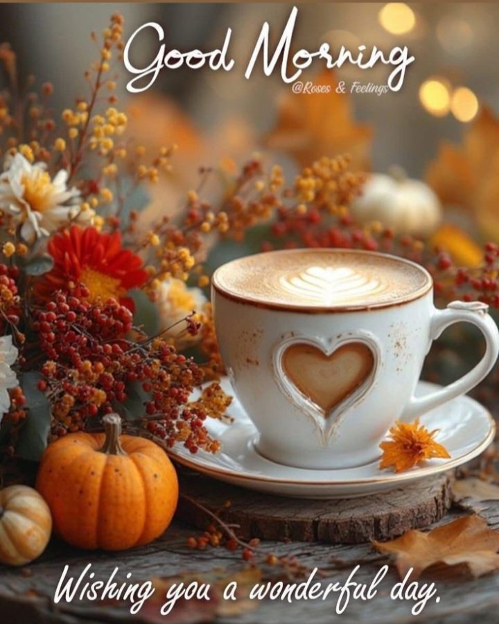 deborah_bucher's tweet photo. Good morning, my X family 🍂🍂 Sorry I disappeared yesterday, it was a rough day. I hope you all have a beautiful day filled with sunshine 🌞 love ❤️ and laughter 😁 Stay safe 🙏🏼 God Bless https://t.co/aY1huuPues