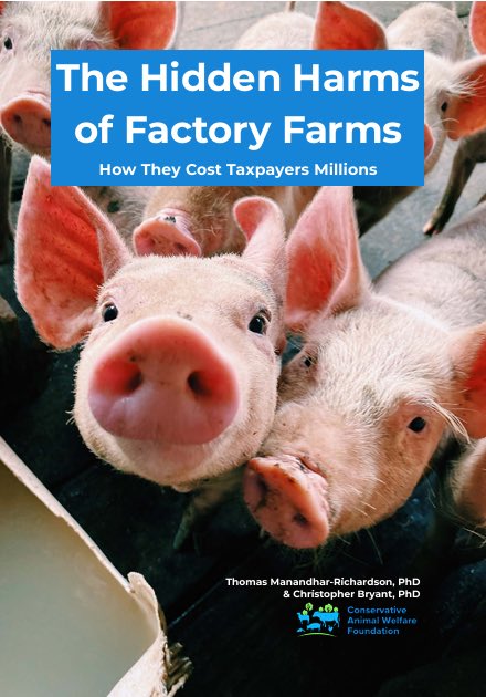 ConservativeAWF's tweet photo. @slingshot_uk_ Good to see this and many thanks for including the link to CAWF’s report ‘ The Hidden Harms of Factory Farms: How They Cost Taxpayers Millions’ which examines the hidden costs of intensive industrial farming, including pollution, public health harms and lost farming jobs https://t.co/KRQgIpKo6K