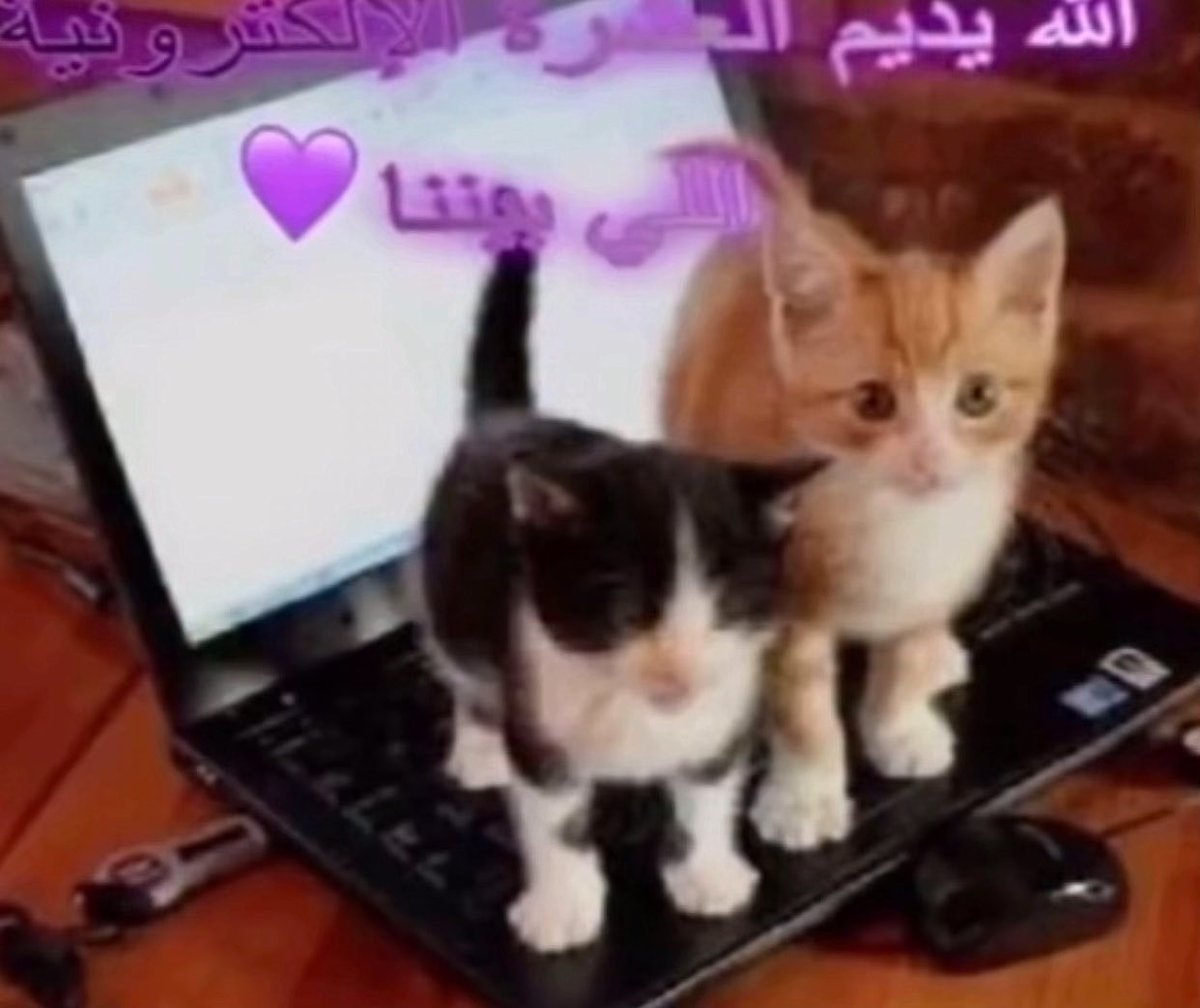 Kaiba_v2's tweet photo. ال٣ اللي يحطون لي لايك على كل تغريده https://t.co/xjeFp7vsQo