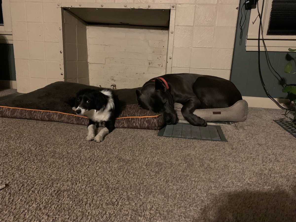 EPMissions's tweet photo. Sometimes love looks like making room. Even when you have every reason to say, “That’s MY bed.”
There’s something beautifully familiar about the way a family loves—making sacrifices, giving up what’s comfortable, and choosing the other person simply because they matter to you. https://t.co/37OZKRycs3