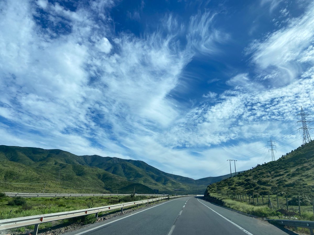 NickoMeteo's tweet photo. El verdor que hay entre el sector de Caleta Hornos y la Cuesta Buenos Aires, ruta 5 norte, es impresionante. 

El paisaje se ha transformado demasiado estas ultimas semanas y el peak de floración y verdor es todo un espectáculo! 

Segunda imagen es cerca de Domeyko (no por la R5) https://t.co/0O1wQiCcjw