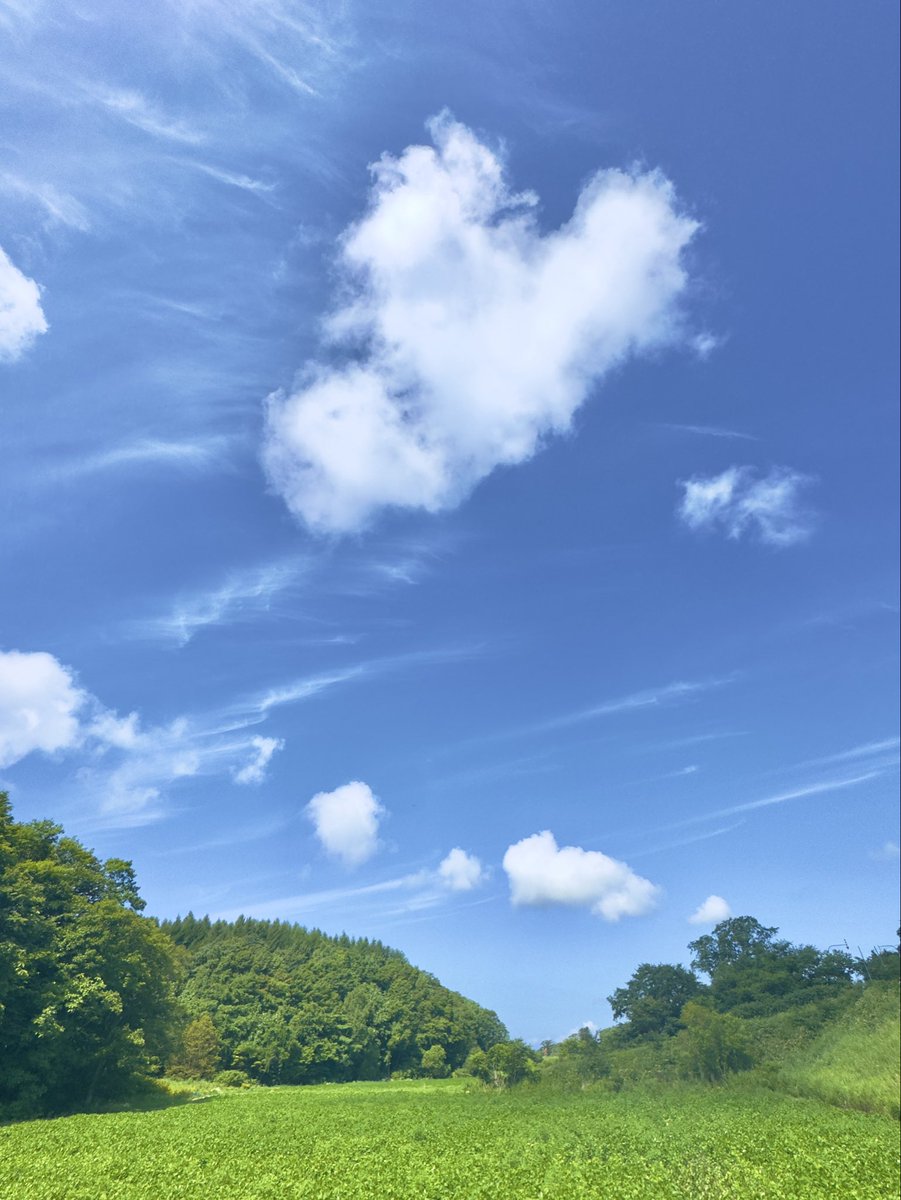 o13840's tweet photo. おやすみ前に…
10秒間の優しい散歩💙

明日いい日になぁれ☘️ https://t.co/TCw9AL5Yqg